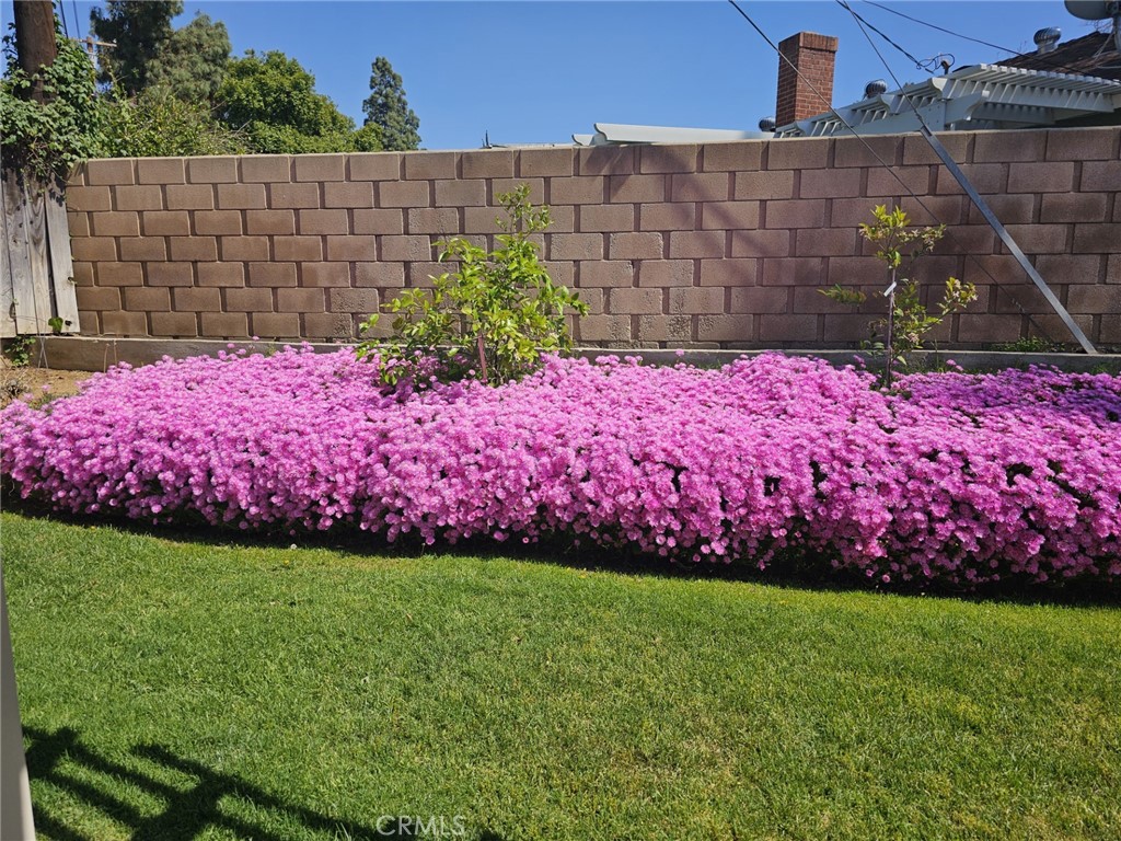 https://media.crmls.org/medias/262fa50f-3200-43b2-990d-706a7e2e28da.jpg?preset=X-Large