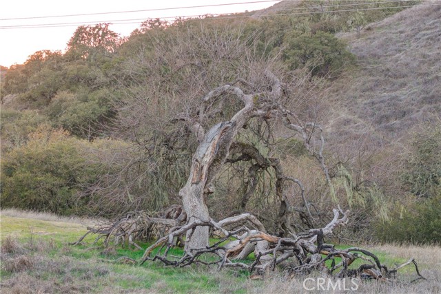 Detail Gallery Image 4 of 49 For 11315 Nacimiento Lake Dr, Bradley,  CA 93426 - 2 Beds | 2 Baths