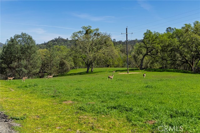 Detail Gallery Image 59 of 75 For 5550 Las Tablas Bay, Paso Robles,  CA 93446 - 4 Beds | 2 Baths