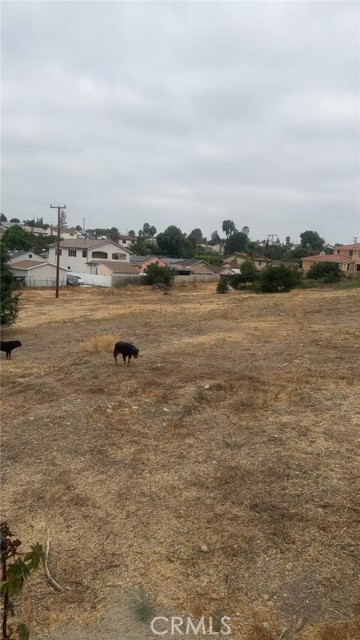 564 Camino De Teodoro, Walnut CA: https://media.crmls.org/medias/2639b06c-24ea-4251-933e-155fc8e06990.jpg