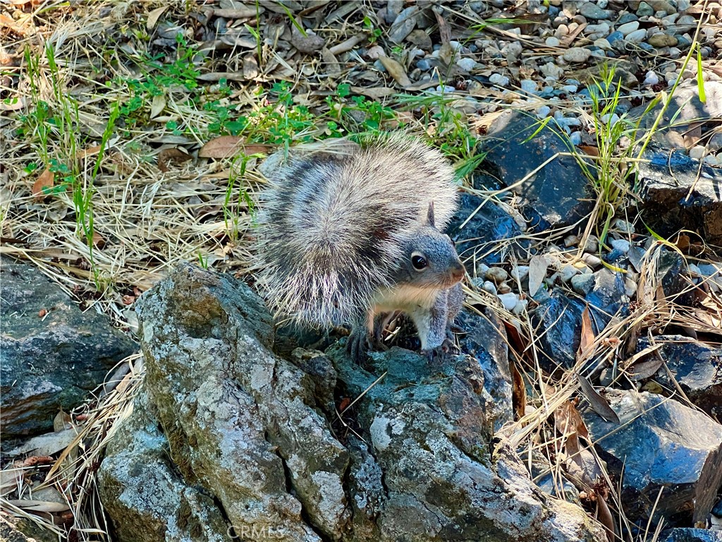 https://media.crmls.org/medias/263ab7a2-0031-4a6b-b8d0-4726c5d0a016.jpg?preset=X-Large