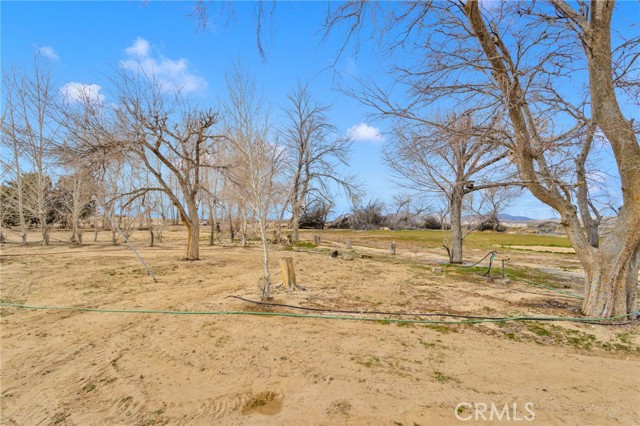 Detail Gallery Image 40 of 69 For 47424 Paddington, Landers,  CA 92285 - 2 Beds | 2 Baths