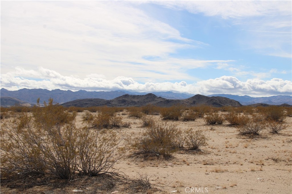 MLS #CV25144728 image #7