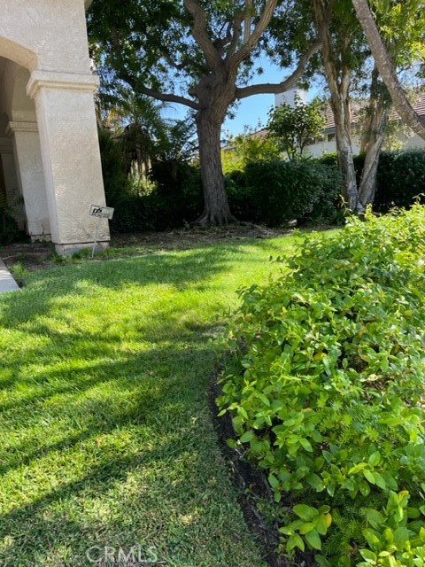 11719 Blossomwood Court photo 4