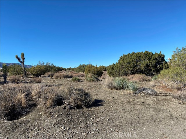 Front Image Thumbnail for CRHD25265331