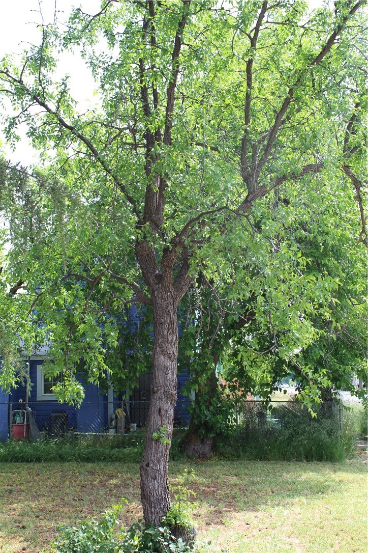 https://media.crmls.org/medias/26526214-21b5-4c82-853d-c174fbfb740b.jpg?preset=X-Large