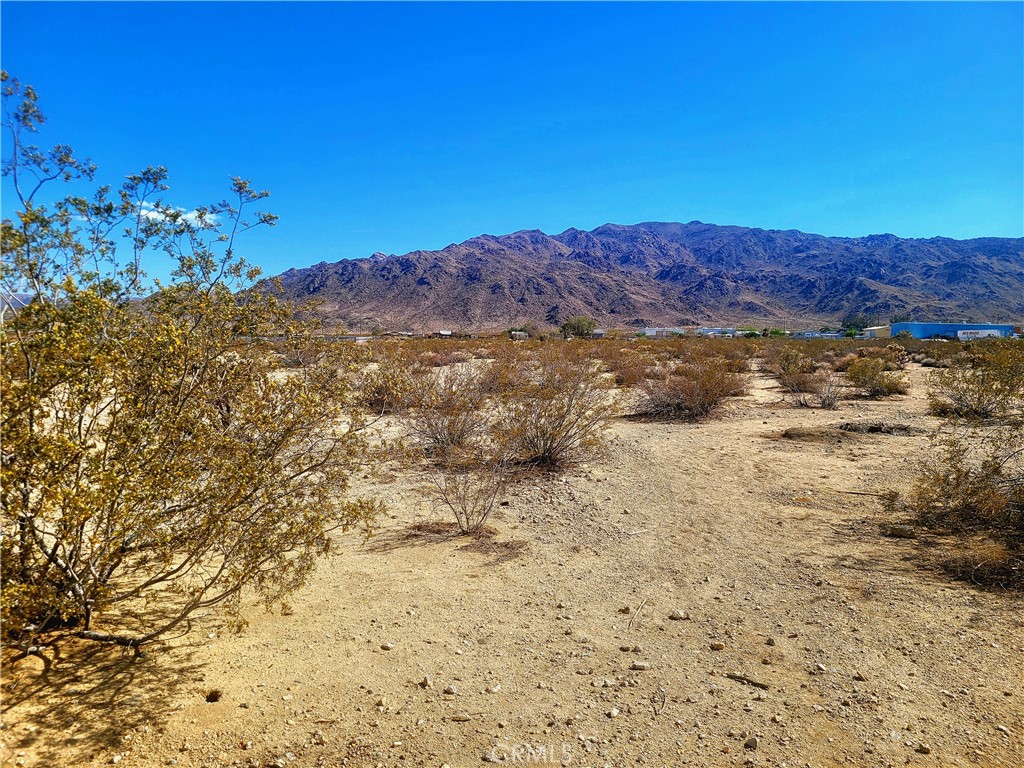 MLS #JT25171128 image #4