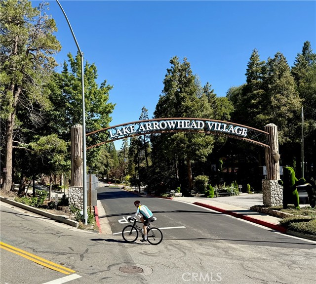 Detail Gallery Image 38 of 40 For 872 Sierra Vista Dr #30,  Twin Peaks,  CA 92391 - 3 Beds | 2 Baths