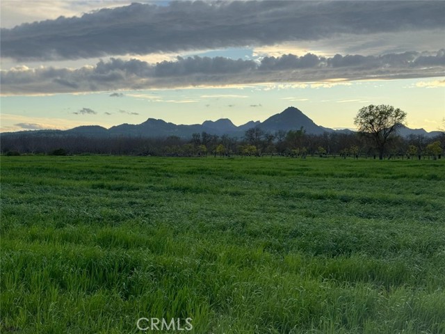 Detail Gallery Image 46 of 46 For 9631 Schroeder Rd, Live Oak,  CA 95953 - 2 Beds | 2 Baths