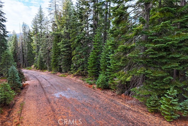 Detail Gallery Image 4 of 17 For 1100 Cleghorn Dr, Quincy,  CA 95971 - – Beds | – Baths