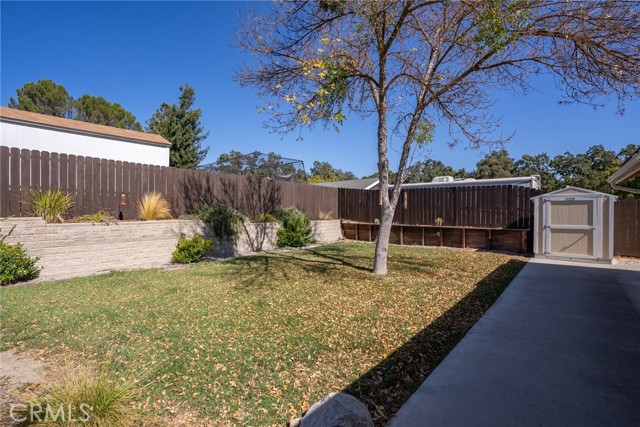 That back corner could be a wonderful spot for a future garden.
