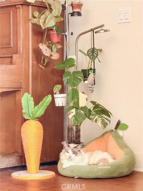 Detail Gallery Image 6 of 33 For 627 Deep Valley Dr Ph615,  Rolling Hills Estates,  CA 90274 - 2 Beds | 2 Baths