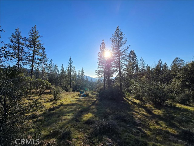 Detail Gallery Image 14 of 34 For 0 Double Eagle Way, Brownsville,  CA 95919 - – Beds | – Baths