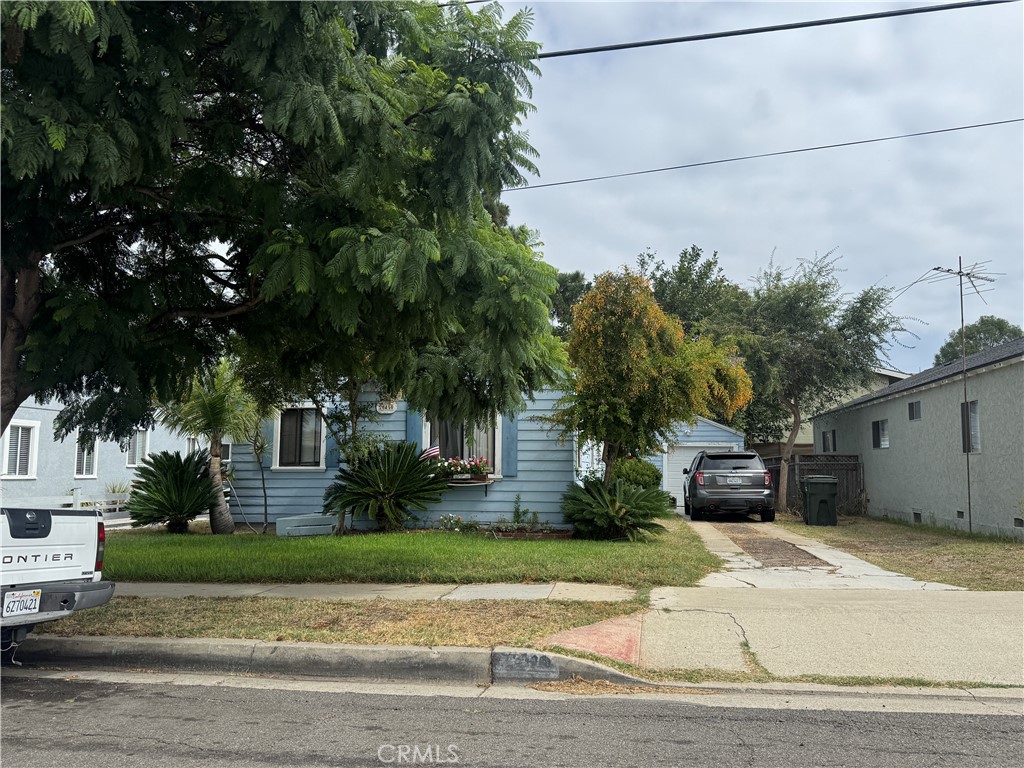 25410 Oak
