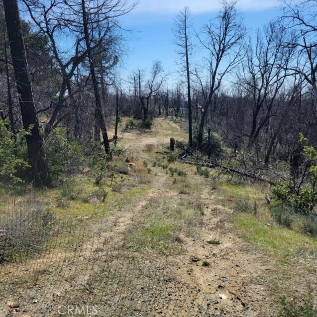 0 Possum Lane, Berry Creek, California 95916, ,Land,For Sale,0 Possum Lane,CRLC24043453