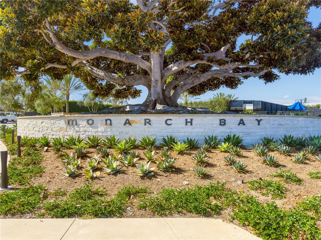 26730986 6447 40e8 Af0d Eb5efdb076b0