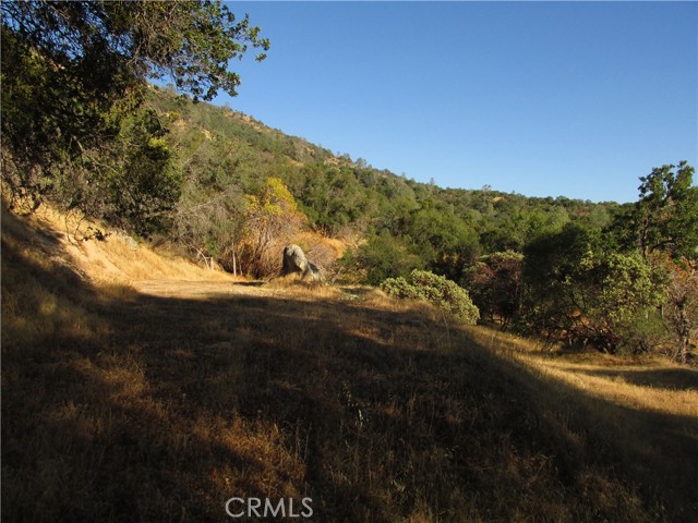 Detail Gallery Image 11 of 54 For 2 Ac Old Oaks Ct, North Fork,  CA 93643 - – Beds | – Baths