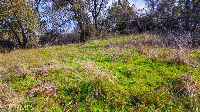 Detail Gallery Image 35 of 43 For 2320 Painted Pony Rd, Somerset,  CA 95684 - – Beds | – Baths