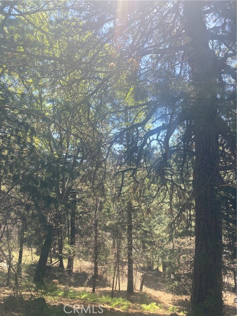 0 Lovers, Rimforest, CA, 92378 0 Lovers, Rimforest, CA, 92378
