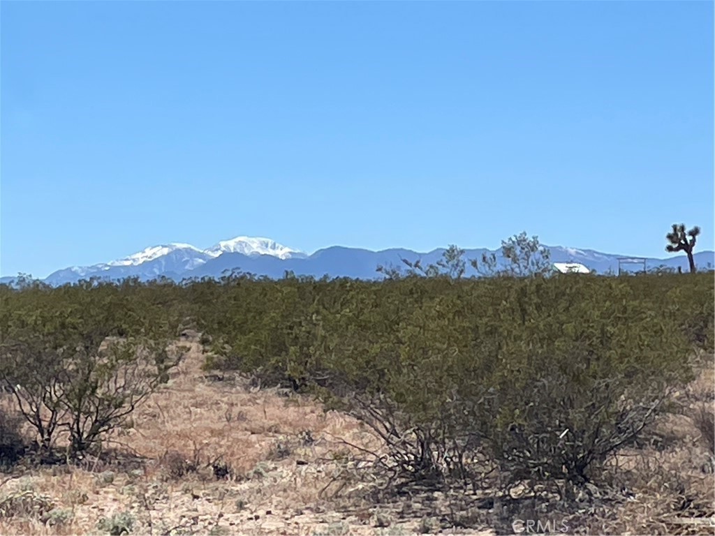 MLS #JT24091345 image #3