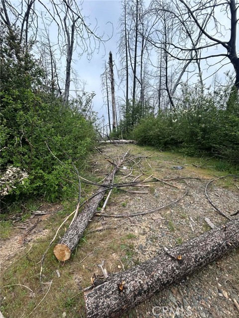 Detail Gallery Image 5 of 14 For 83 Oak Tree Lane, Berry Creek,  CA 95916 - – Beds | – Baths