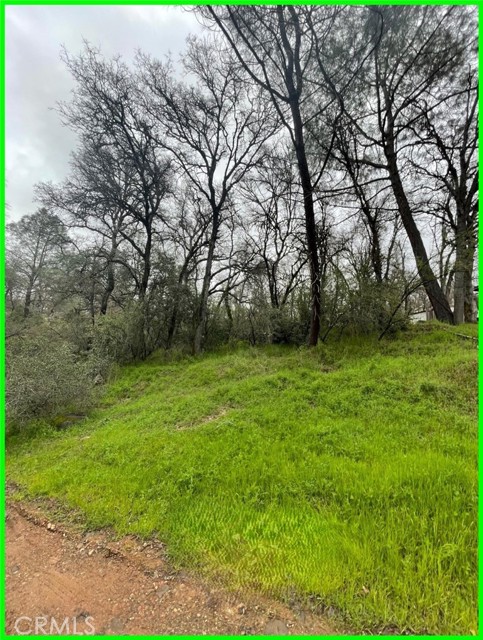 Detail Gallery Image 4 of 8 For 15604 35th Ave, Clearlake,  CA 95422 - – Beds | – Baths