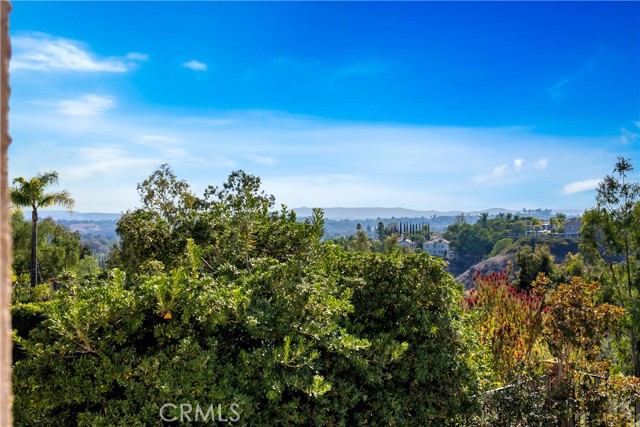 Detail Gallery Image 57 of 73 For 25652 Pacific Crest Dr, Mission Viejo,  CA 92692 - 4 Beds | 2/1 Baths
