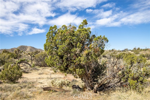 Detail Gallery Image 17 of 20 For 9486 Carmelita Cir, Yucca Valley,  CA 92284 - – Beds | – Baths