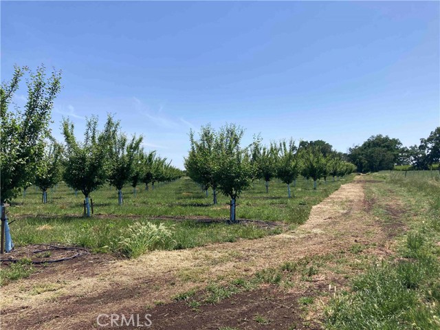 Detail Gallery Image 12 of 15 For 0 Volcano Way, Red Bluff,  CA 96080 - – Beds | – Baths
