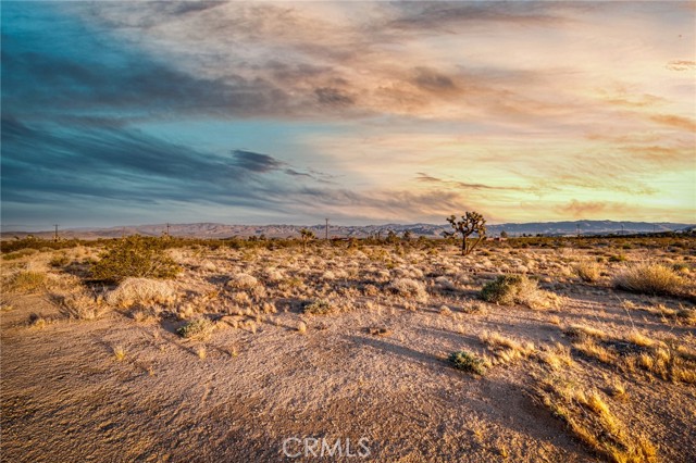 Detail Gallery Image 17 of 74 For 2953 Border Ave, Joshua Tree,  CA 92252 - 3 Beds | 2 Baths