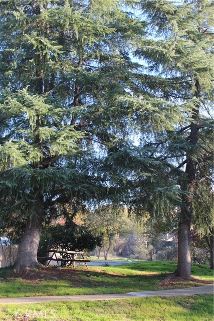 Detail Gallery Image 73 of 75 For 985 Jonell Ln, Chico,  CA 95926 - 3 Beds | 2 Baths