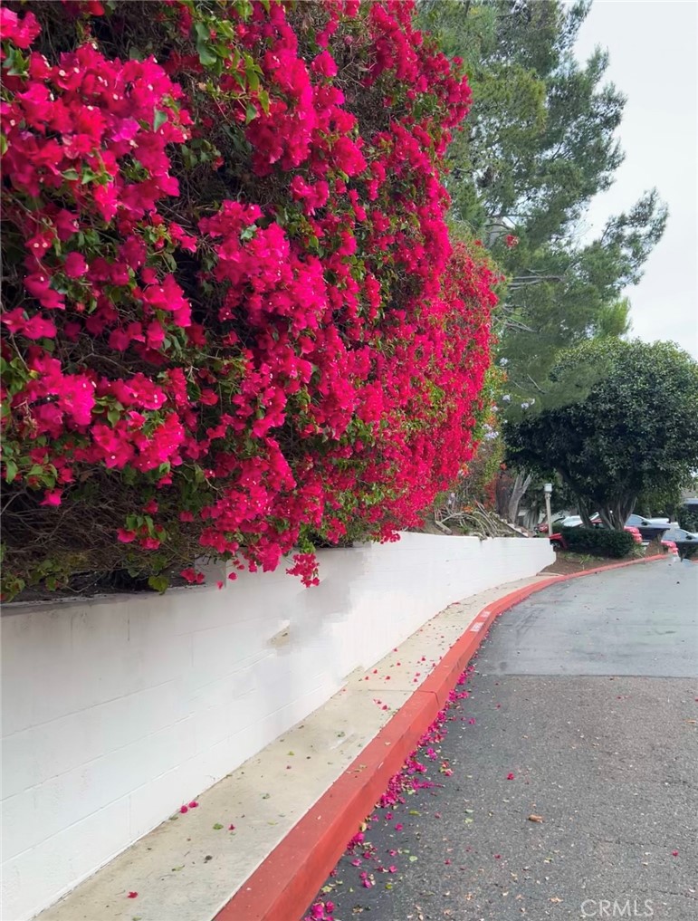 MLS #NP26168435 image #39
