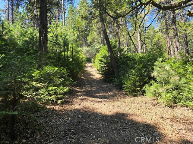 0 Lovers Lane, Cedarpines Park CA: https://media.crmls.org/medias/26925a77-20ba-4e22-93d0-f9adcb207f75.jpg
