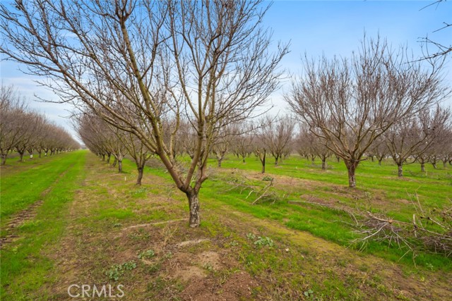 Detail Gallery Image 11 of 47 For 16221 Carrolton, Escalon,  CA 95320 - – Beds | – Baths