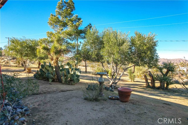 Detail Gallery Image 46 of 65 For 61218 Sandalwood Trl, Joshua Tree,  CA 92252 - 3 Beds | 2 Baths