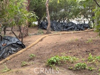 0 Burleigh Drive, Pasadena CA: https://media.crmls.org/medias/269cc144-7d7c-4775-8755-ed7708f7246d.jpg