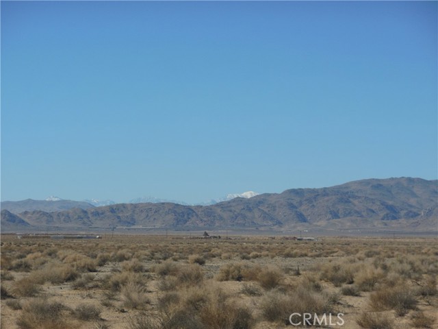 Detail Gallery Image 7 of 9 For 101 Smoke Bush, Lucerne Valley,  CA 92356 - – Beds | – Baths