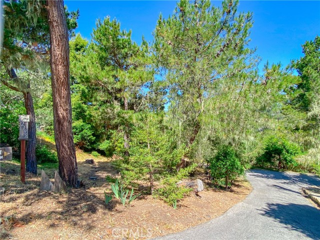 Detail Gallery Image 60 of 70 For 2195 Wilton, Cambria,  CA 93428 - 3 Beds | 2 Baths