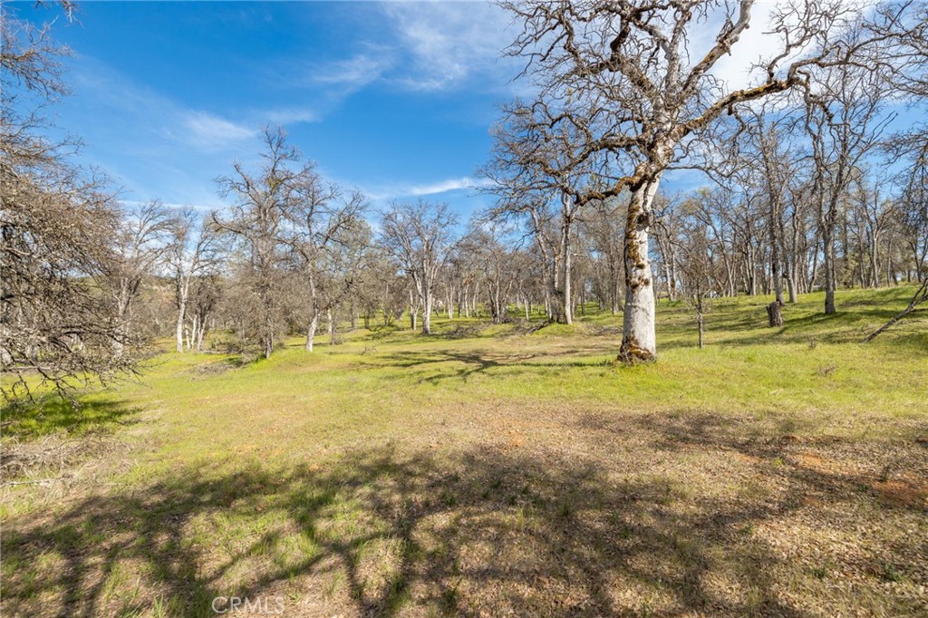 MLS #MP25083709 image #1