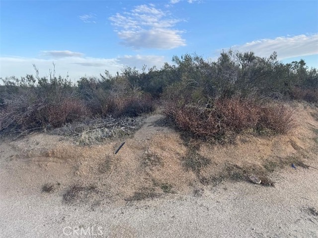 0 Springbrook Trail, Anza CA: https://media.crmls.org/medias/26ad209f-9b3b-4cda-9e9c-207901006237.jpg