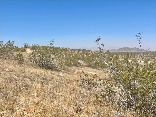 Detail Gallery Image 9 of 19 For 20 Acres, Yucca Valley,  CA 92285 - – Beds | – Baths