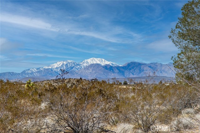 Detail Gallery Image 22 of 74 For 2953 Border Ave, Joshua Tree,  CA 92252 - 3 Beds | 2 Baths