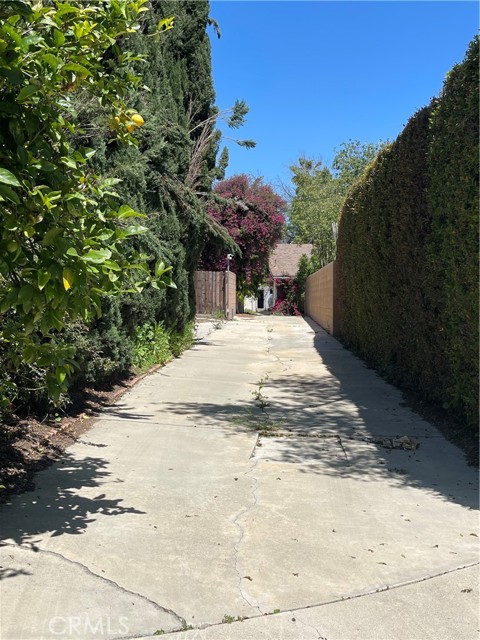 Long private driveway view.