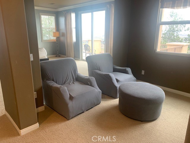 Detail Gallery Image 36 of 48 For 17130 Silver Moon Ct, Riverside,  CA 92503 - 3 Beds | 3/1 Baths