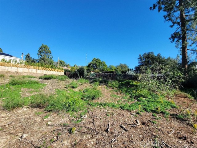 Detail Gallery Image 6 of 9 For 2442 Cross Street, La Crescenta,  CA 91214 - – Beds | – Baths