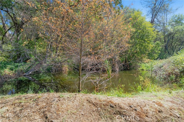 339 Mt Ida Road, Oroville CA: https://media.crmls.org/medias/26cafafe-0b71-4230-ae26-359efd755934.jpg
