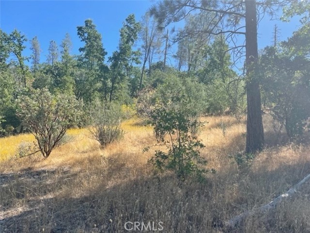 Detail Gallery Image 13 of 17 For 0 Lot 2 Peckinpah Acres Dr, North Fork,  CA 93643 - – Beds | – Baths