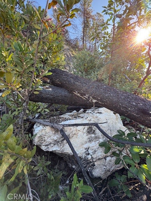 Detail Gallery Image 19 of 34 For 8870 Oro Quincy, Berry Creek,  CA 95916 - – Beds | – Baths