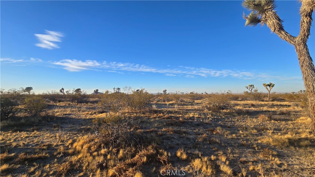 MLS #SR25151837 image #5