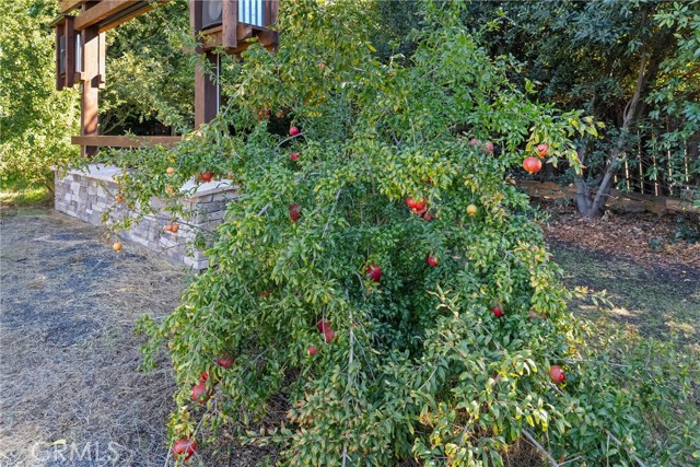 Detail Gallery Image 66 of 75 For 4227 Michelle Ct, Chico,  CA 95973 - 4 Beds | 2/1 Baths